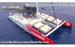 Freebird Catamaran (3 Hours) Charter